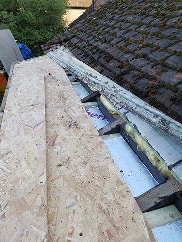 Roof, February 2019