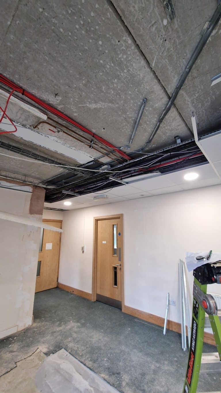School hall ceiling and lighting, Frensham Heights School, project photo