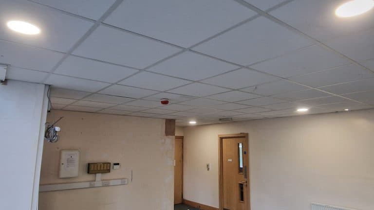 School hall ceiling and lighting, Frensham Heights School, project photo